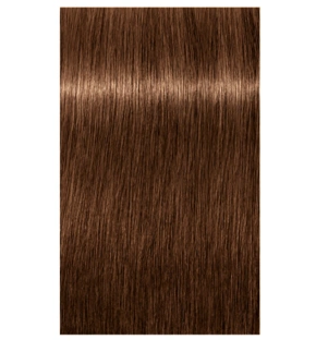 Igora Royal Absolutes - 7-460 árnyalatú krémhajfesték 60ml főképe